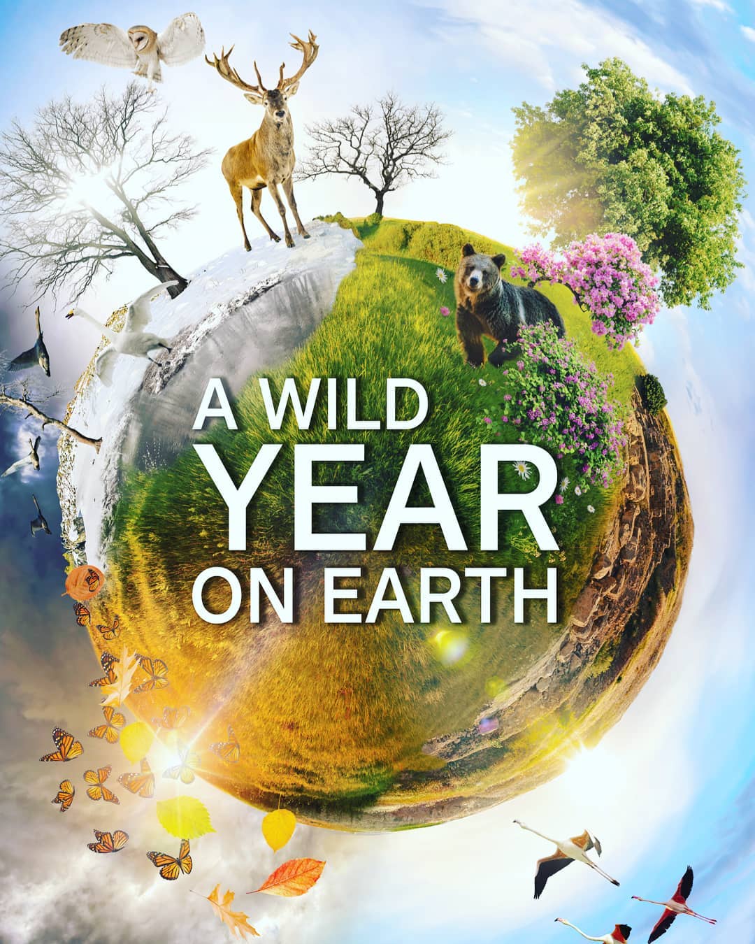 A Wild Year on Earth – Season 1 A Wild Year on Earth – Season 1